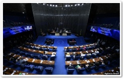 Senado aprova projeto de igualdade salarial entre homens e mulheres